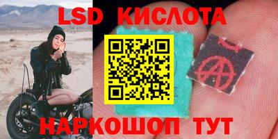 гидра Малоярославец