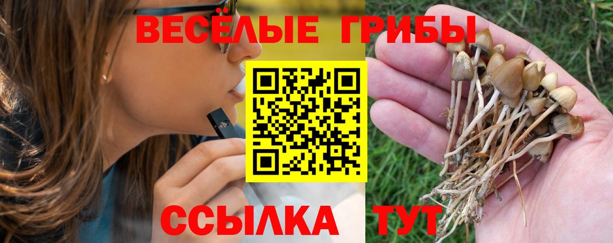 Псилоцибиновые грибы мицелий Анжеро-Судженск
